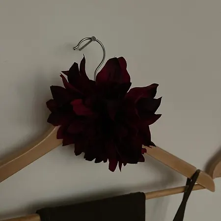 Peaceful Oasis In Center شقة لوكسمبورغ