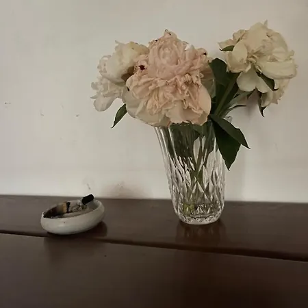 Peaceful Oasis In Center شقة *