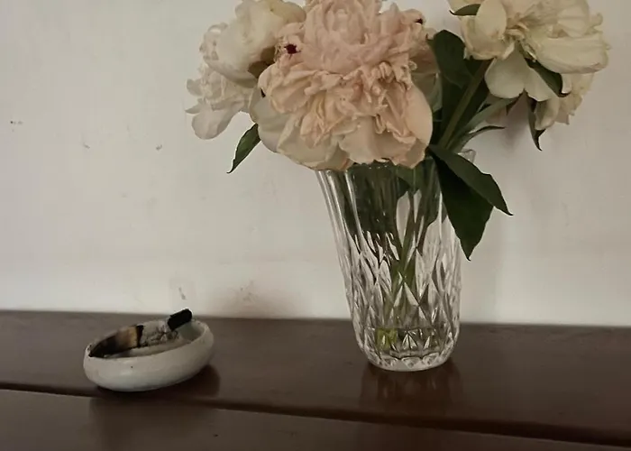 Peaceful Oasis In Center شقة *